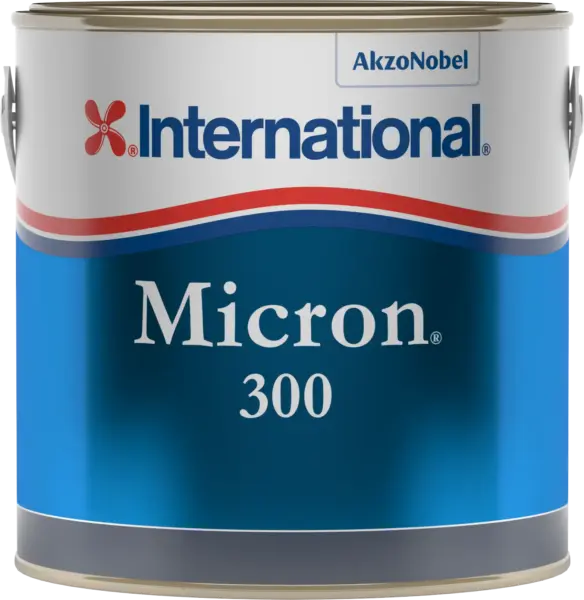 Micron 300